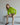 #color_lime