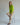 #color_lime