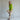 #color_lime